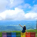 대신카프라자 | 평창 추천 여행지, 용평리조트 발왕산 관광 케이블카 스카이워크 포토존