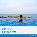 호텔 오즈 | [부산호텔/기장] 부산 힐튼호텔 파노라마오션뷰 인피니티풀 이용후기!!