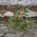 추봉보건진료소 이미지