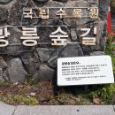 포천 여행지 국립수목원 광릉숲길 여행후기