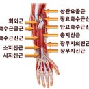 PT STUDIO THE 진심 이미지