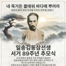 일송 이미지