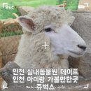 청수목장 | 인천 실내동물원 데이트 인천 아이랑 가볼만한곳 쥬벅스