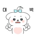 동동 애견 미용 이미지