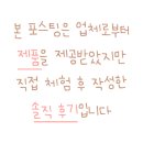 백투에덴몰
