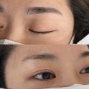 미셸율하 | YUJU# 유주샵 대구 콤보눈썹 문신 후기 (내돈내산, 솔직후기)