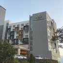 호텔빠레브 | 제주도 서귀포 4성급 가성비 호텔 추천 조식 맛집 빠레브호텔 후기