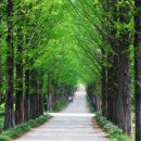 팡팡당구장 이미지