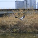 대전천북로 이미지