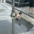 노모어피자양주 이미지