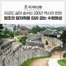 [국가유산행] 지금도 살아 숨쉬는 200년 역사의 현장, 정조의 발자취를 따라 걷는 수원화성
