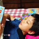 Hot Dog PC 이미지