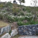 판암양지근린공원 이미지