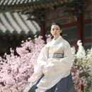 로즈 플라워(ROSE FLOWER) 이미지