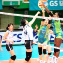 도화체육관 이미지