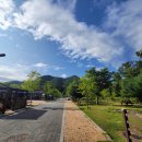 홍천강 오토캠핑장 이미지