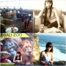 지상낙원 발리여행 울루와뚜절벽사원, 데이크루즈, Bali Zoo 이미지