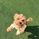 개스트하우스 청주점 이미지