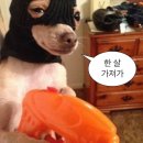 오아스 | 폭닥한 연말로 2024 매듭 짓기