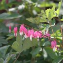 옛날솜씨마을 이미지