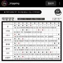 트립고잉 이미지