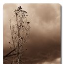 에메랄드케슬 이미지