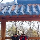 임학공원 출렁다리 이미지