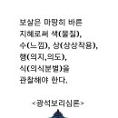 광석보리심론 이미지