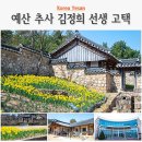 추사 유배길 - 3코스 사색의 길 | 수선화 활짝 핀 충남 예산 가볼만한곳, 아이와 추사고택 봄 여행