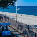 정동진역 이미지