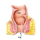 라파엘외과의원 이미지