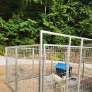 개집 | 대형개집 “견주가 직접 설치한, 우리 반려견에게 딱 맞는 맞춤형 하우스”