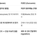 면역 증강제 투여의 의한 어류의 면역피로(immunological fatigue) 이미지