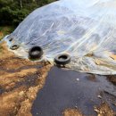 대암축산 이미지