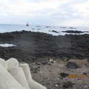 남태해안로 이미지