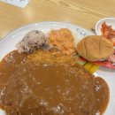 금화프라자 | [금화왕돈까스 발산역]마곡 맛집 왕모밀까지