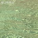 제나하우스 - 경주시 | 제나하우스