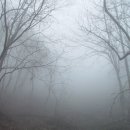 안개로 이미지