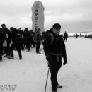 산처럼물처럼 이미지