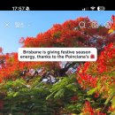 Flametree_ 이미지