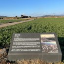 남제주 비행기 격납고 | 2025.01 2일차_남제주 비행기 격납고, 알뜨르비행장, 섯알오름유적지, 사계해안, 군산오름 일몰