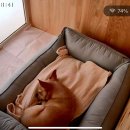 견생낙원 이미지