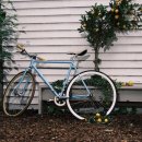 협재의바람 이미지