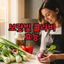 보태기밥상 | 콜라비효능먹는방법 콜라비효능칼로리