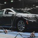 영종대로 이미지