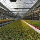 김순자농장 이미지