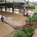 황토부자 이미지