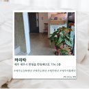 마리따