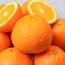 오렌지 이미지