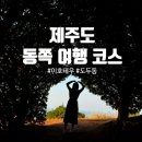 제주 동쪽 뚜벅이 여행 3박 4일/이호테우 해변, 도두봉 키세스존